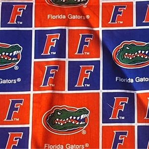 Florida Gators fabric 29 X 42